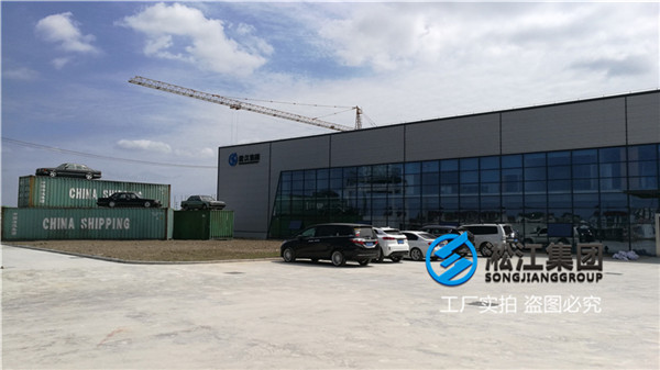 沈陽制冷機(jī)房用DN200橡膠補(bǔ)償器 沈陽制冷機(jī)房用DN200橡膠補(bǔ)償器