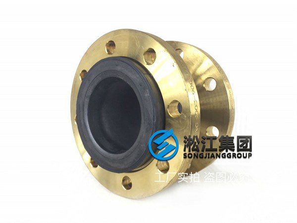 黃銅法蘭橡膠接頭 黃銅法蘭橡膠接頭